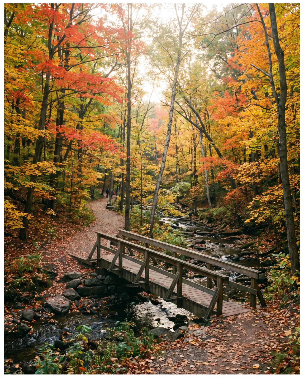 Rouge National Urban Park